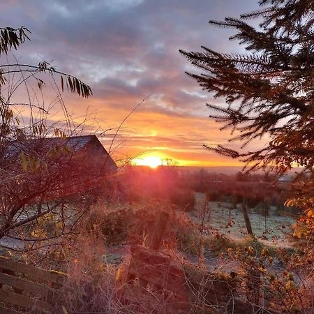 Forest View Cabin Ballaghaderreen エクステリア 写真