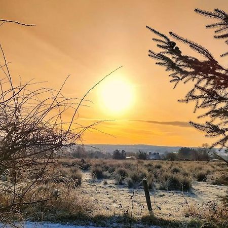 Forest View Cabin Ballaghaderreen エクステリア 写真