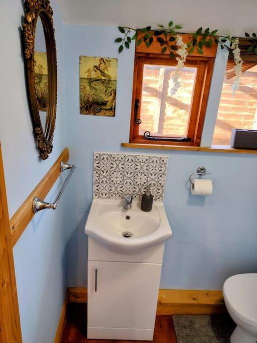 Forest View Cabin Ballaghaderreen エクステリア 写真