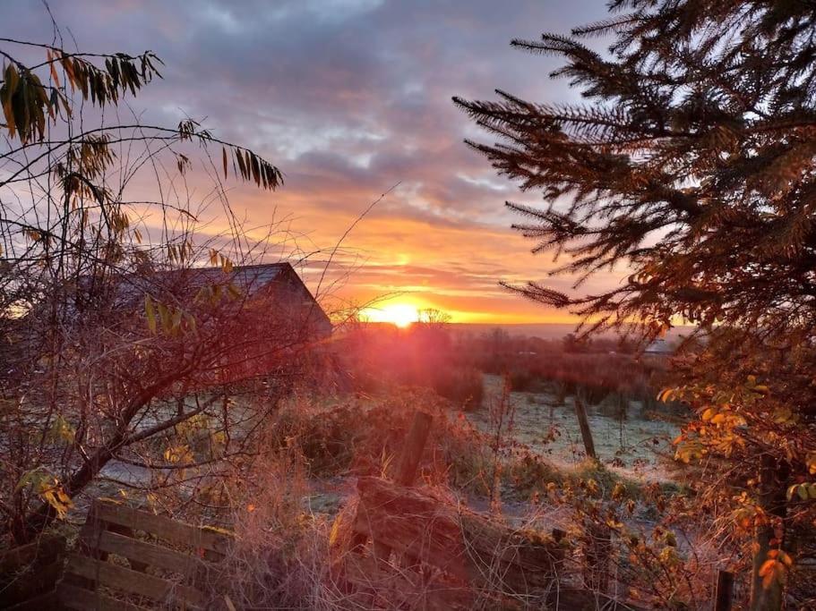 Forest View Cabin Ballaghaderreen エクステリア 写真