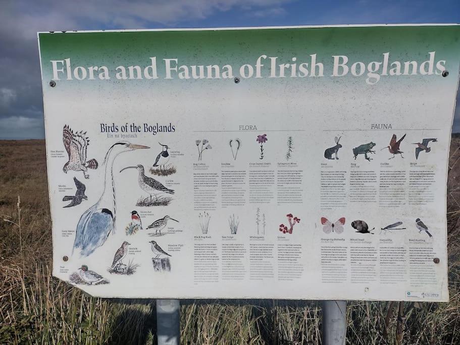 Forest View Cabin Ballaghaderreen エクステリア 写真