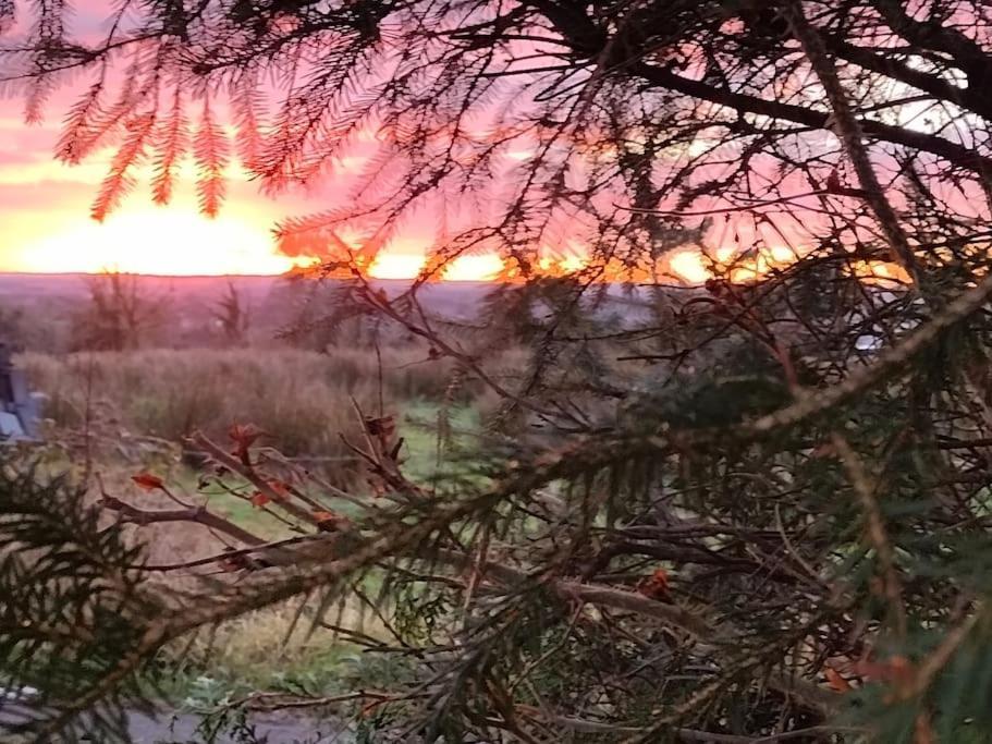 Forest View Cabin Ballaghaderreen エクステリア 写真