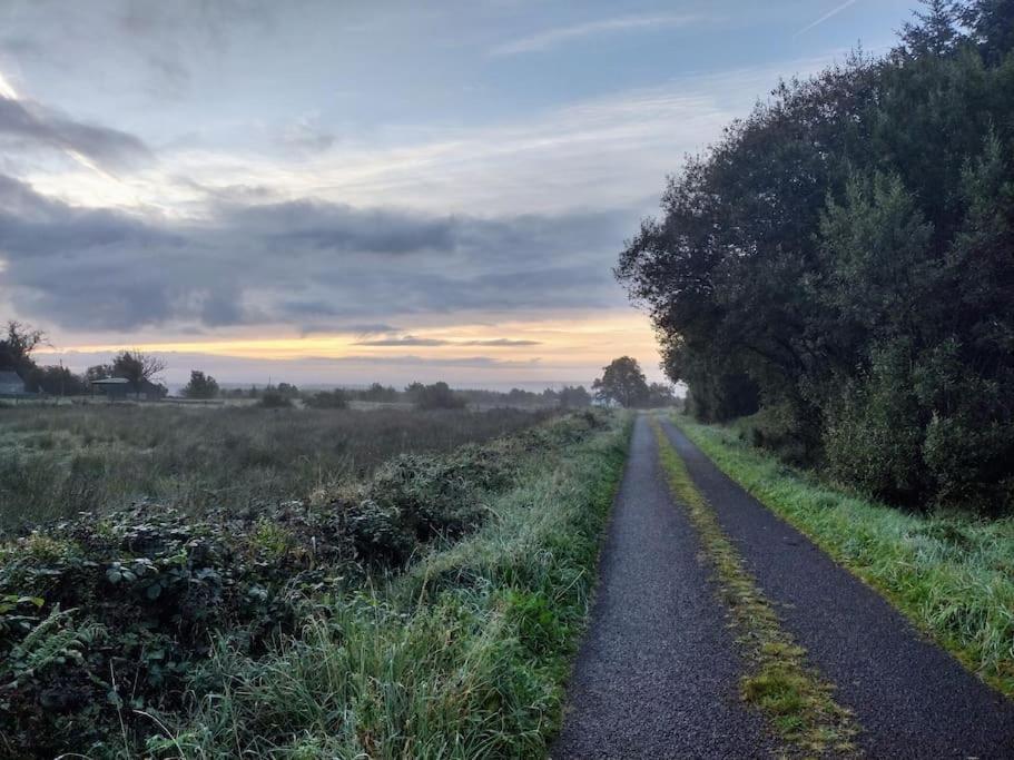 Forest View Cabin Ballaghaderreen エクステリア 写真