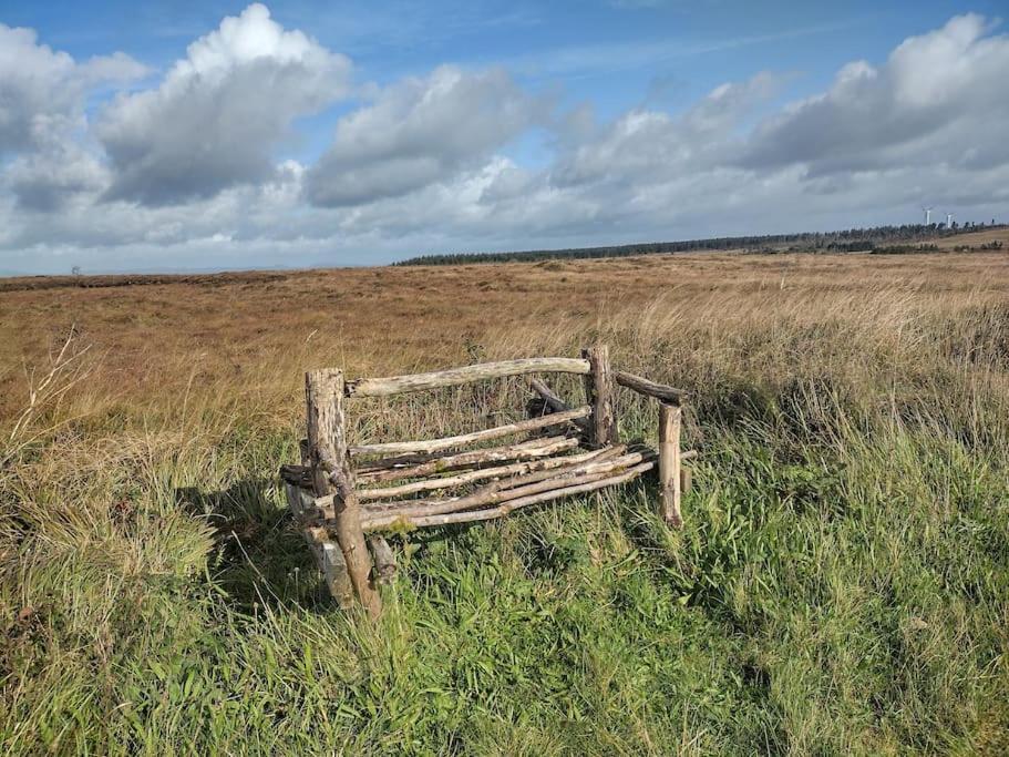 Forest View Cabin Ballaghaderreen エクステリア 写真